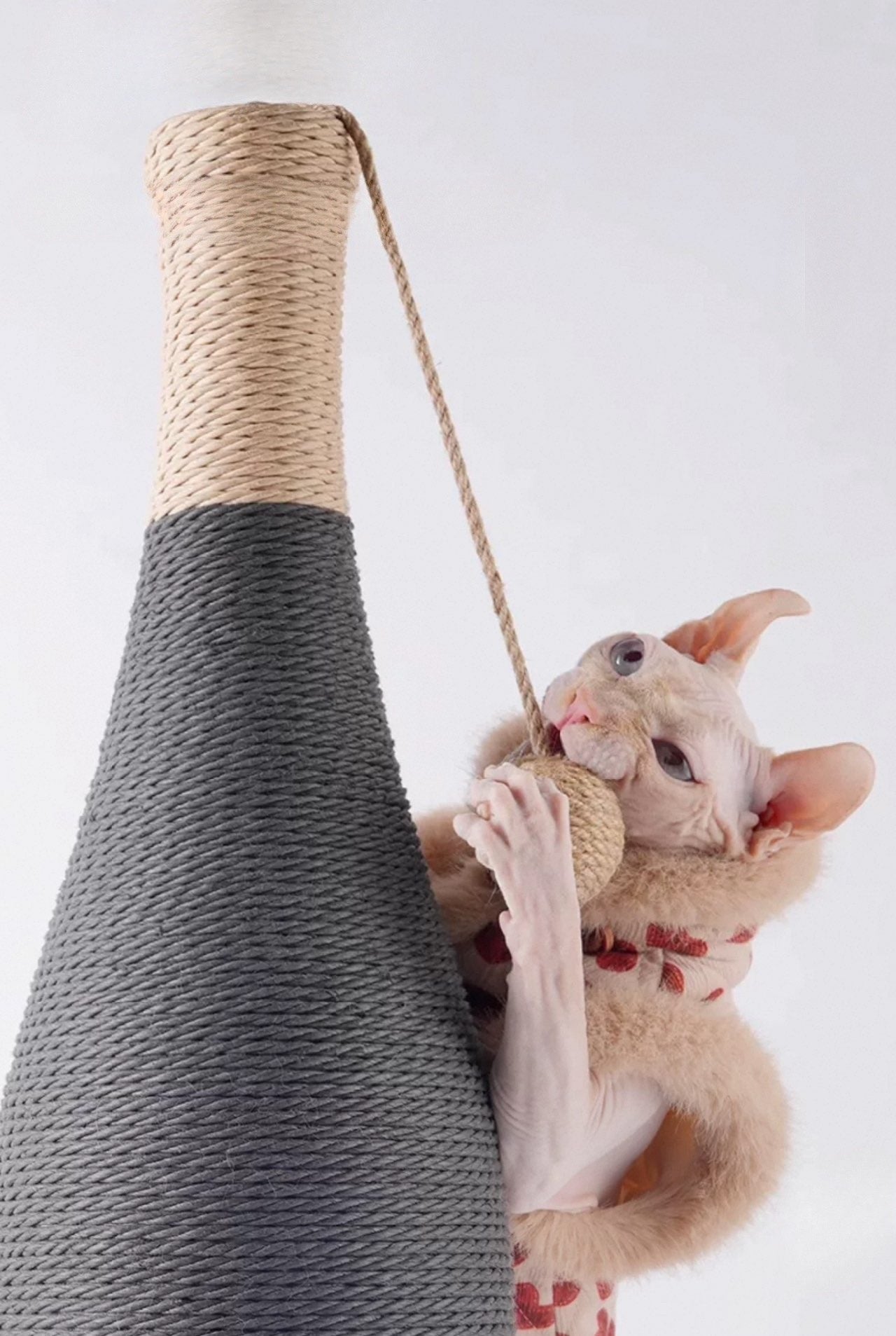 Luxury Cat Scratcher Post – Wine Bottle Design