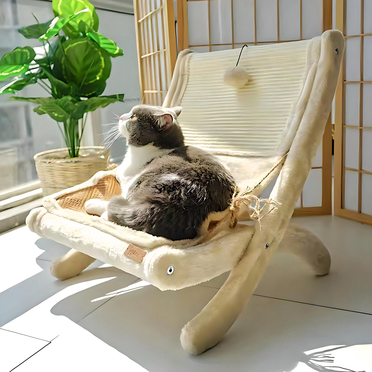 Purrfect Lounge
