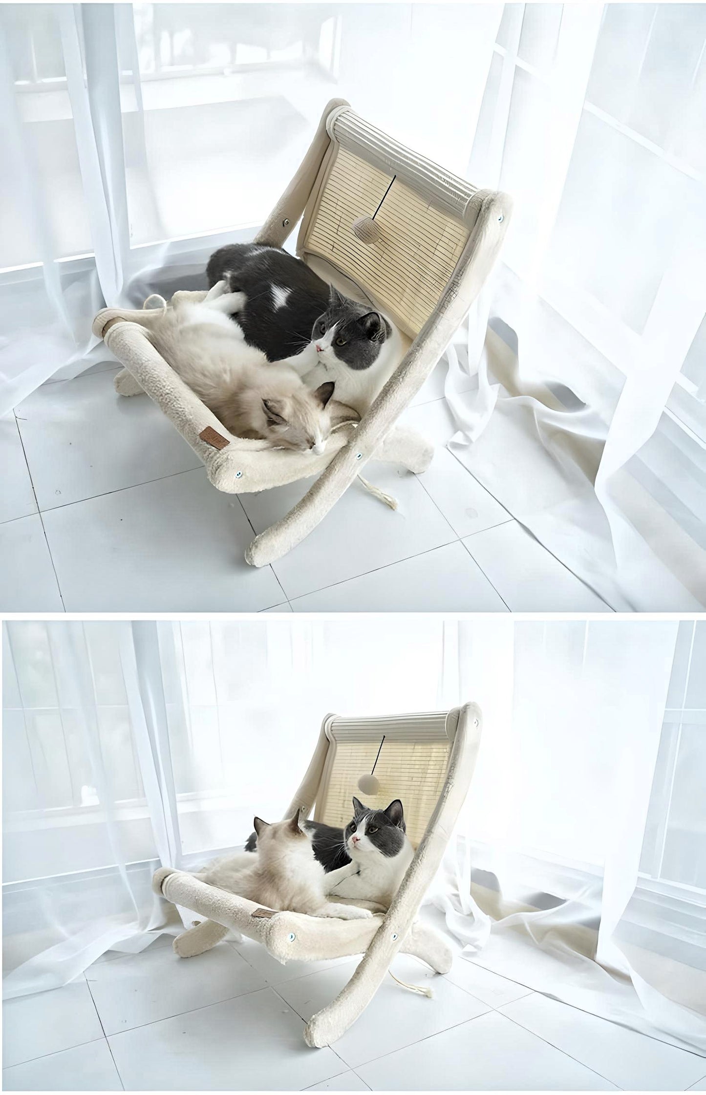 Purrfect Lounge