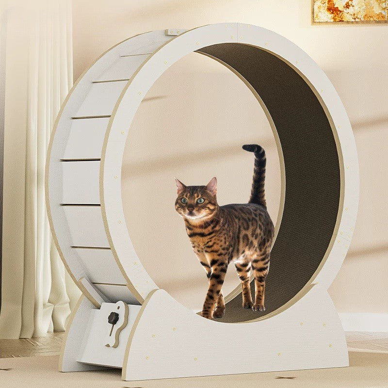 SilentStride™ Luxury Cat Exercise Wheel