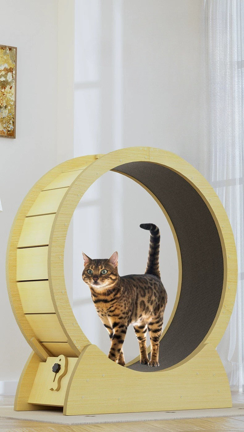 SilentStride™ Luxury Cat Exercise Wheel